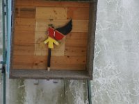 Bild 046