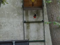 Bild 048