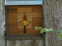 Bild 052
